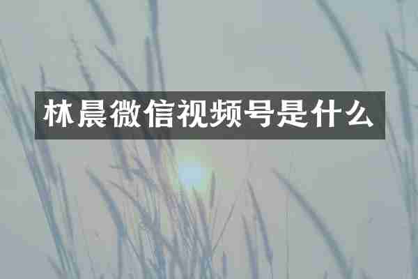 林晨微信视频号是什么