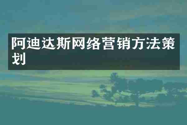 阿迪达斯网络营销方法策划