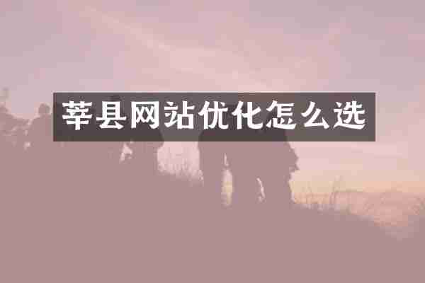 莘县网站优化怎么选