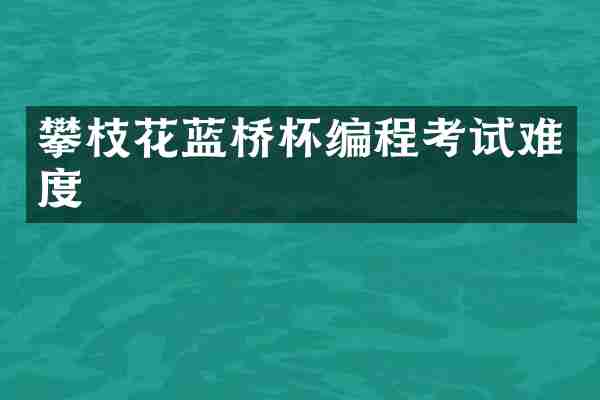 攀枝花蓝桥杯编程考试难度