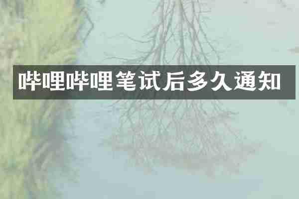 哔哩哔哩笔试后多久通知