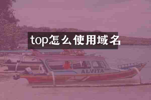 top怎么使用域名