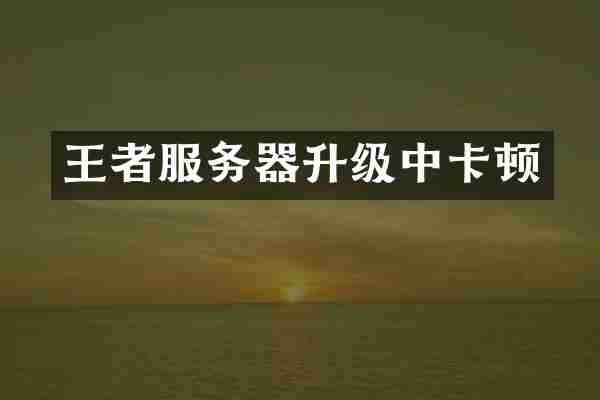 王者服务器升级中卡顿