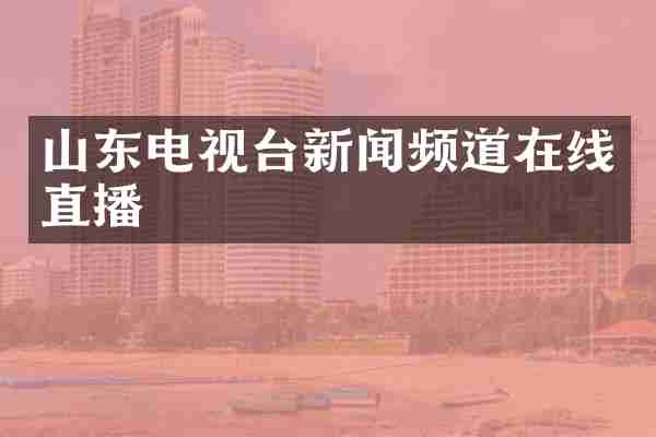 山东电视台新闻频道在线直播