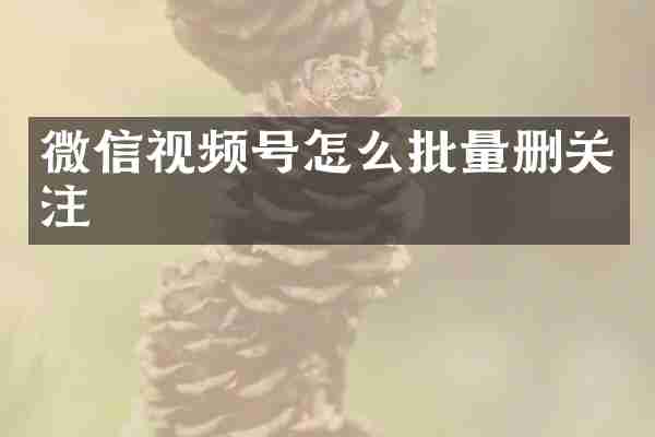 微信视频号怎么批量删关注