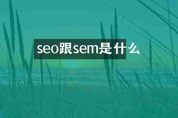 seo跟sem是什么