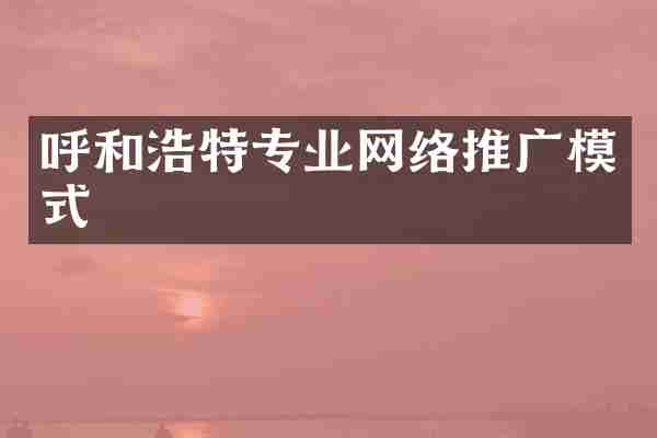 呼和浩特专业网络推广模式