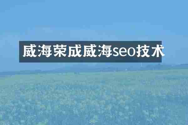 威海荣成威海seo技术