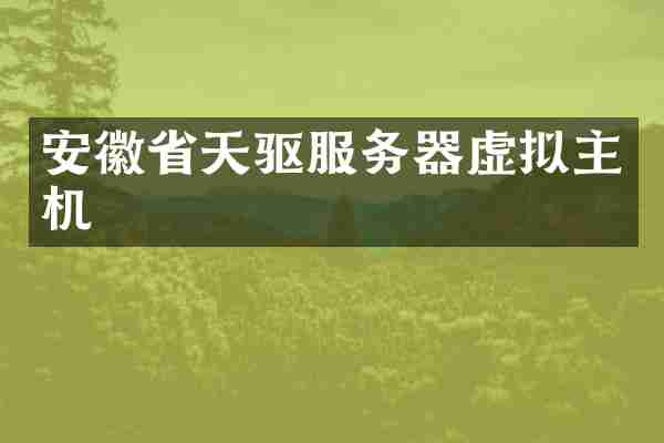 安徽省天驱服务器虚拟主机