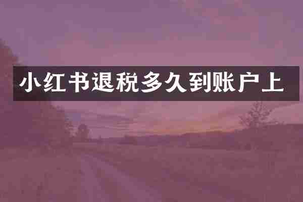 小红书退税多久到账户上