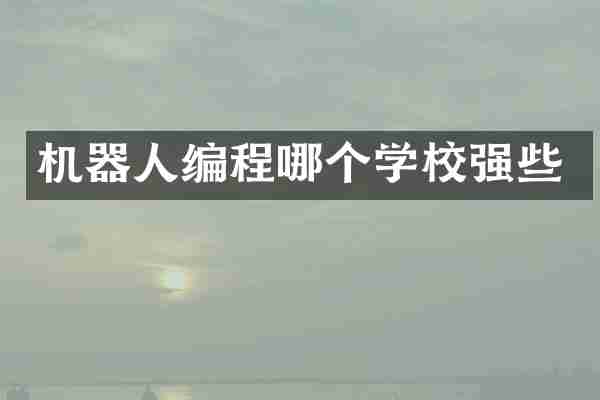 机器人编程哪个学校强些