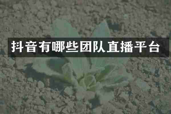抖音有哪些团队直播平台