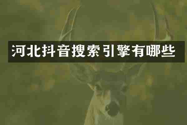 河北抖音搜索引擎有哪些