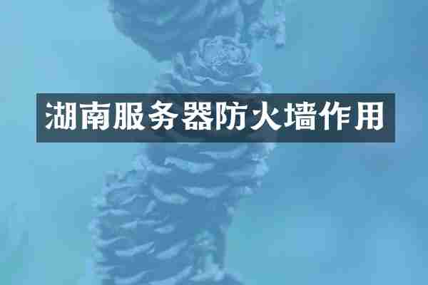 湖南服务器防火墙作用