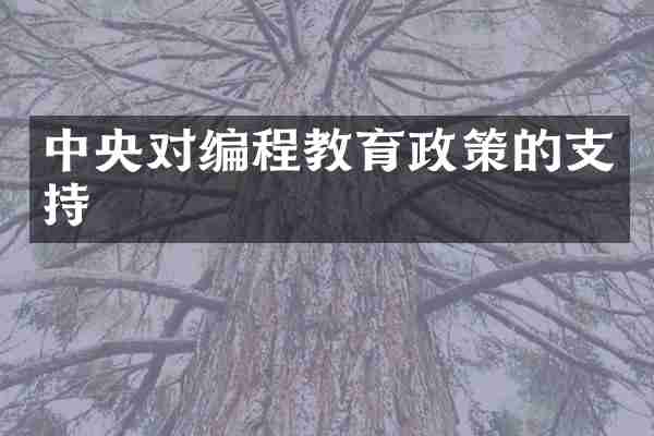 中央对编程教育政策的支持