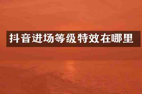 抖音进场等级特效在哪里