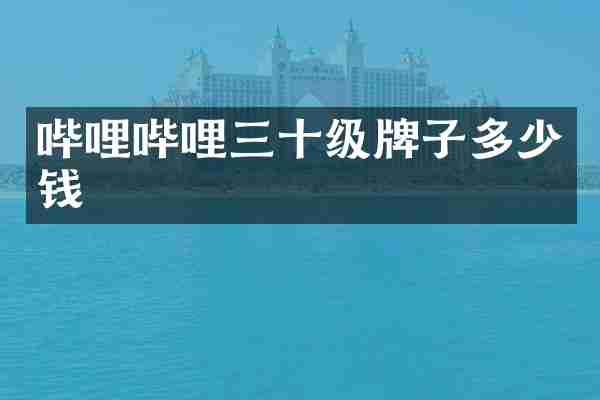 哔哩哔哩三十级牌子多少钱