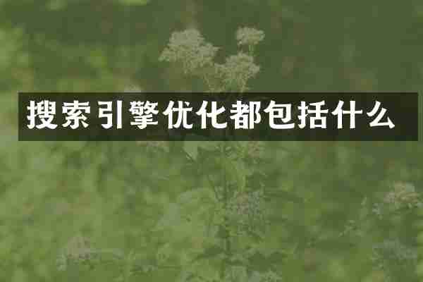 搜索引擎优化都包括什么