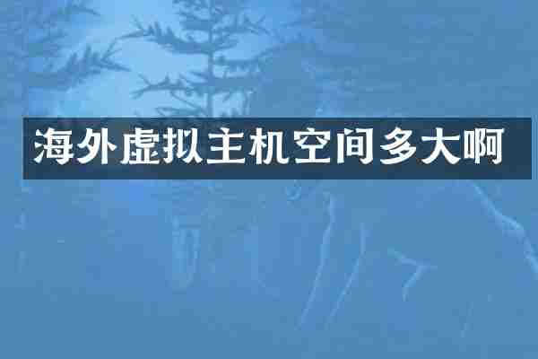 海外虚拟主机空间多大啊