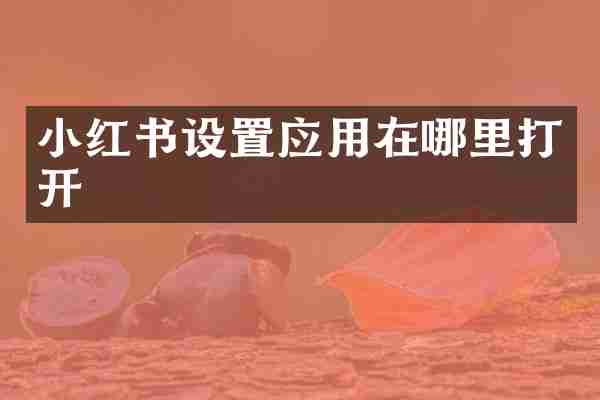 小红书设置应用在哪里打开
