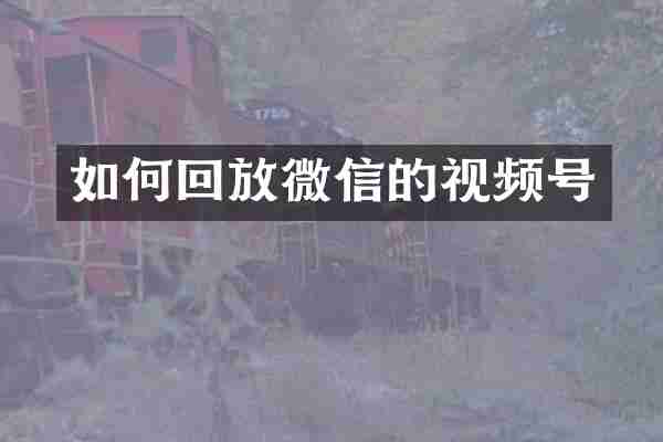 如何回放微信的视频号