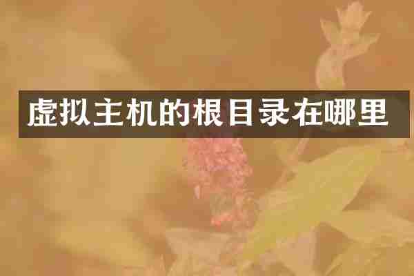 虚拟主机的根目录在哪里