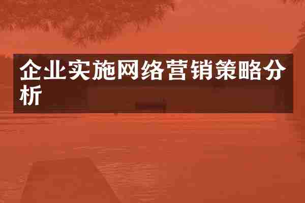企业实施网络营销策略分析