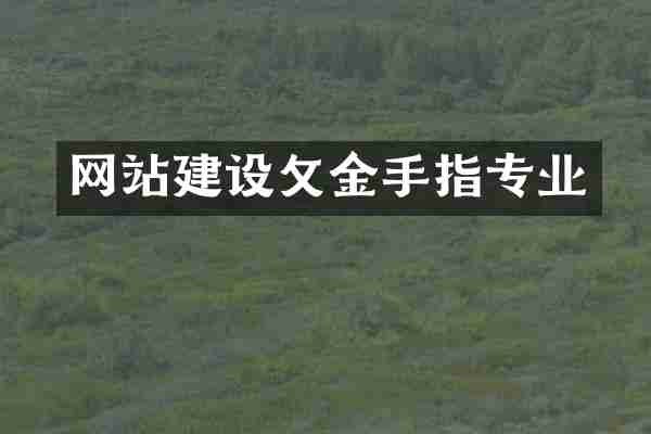 网站建设攵金手指专业
