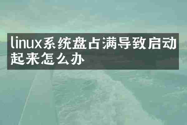 linux系统盘占满导致启动不起来怎么办