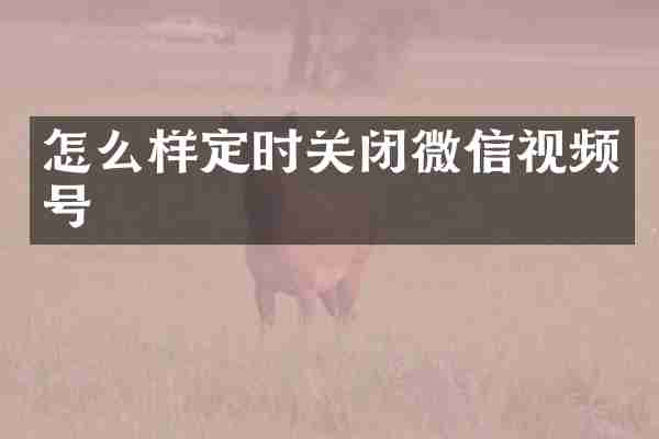 怎么样定时关闭微信视频号