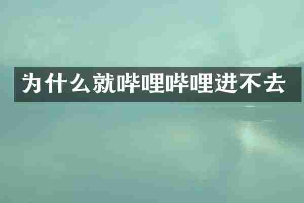 为什么就哔哩哔哩进不去