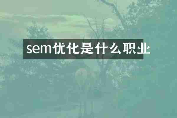 sem优化是什么职业