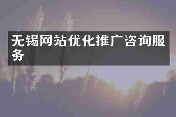 无锡网站优化推广咨询服务