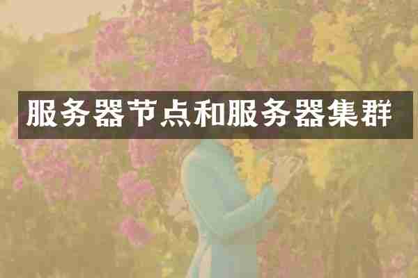 服务器节点和服务器集群