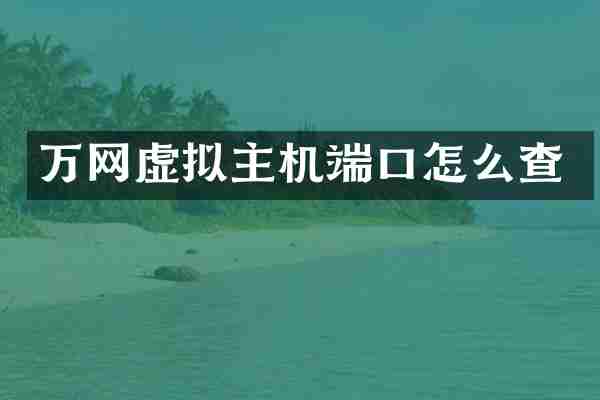 万网虚拟主机端口怎么查
