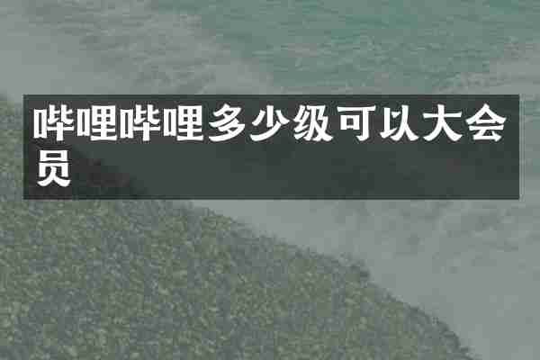 哔哩哔哩多少级可以大会员