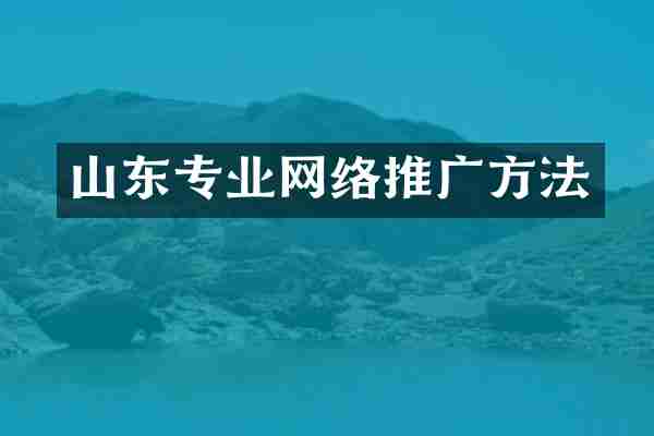山东专业网络推广方法