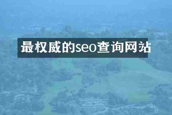 最权威的seo查询网站