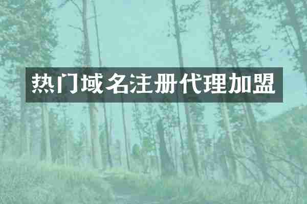 热门域名注册代理加盟