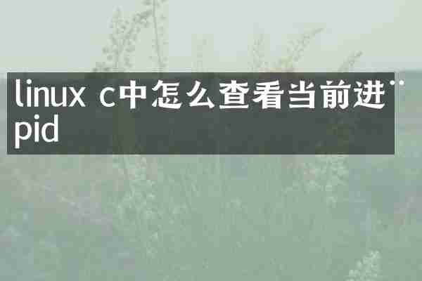 linux c中怎么查看当前进程pid