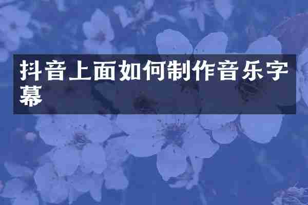 抖音上面如何制作音乐字幕