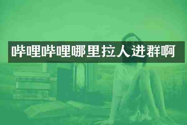哔哩哔哩哪里拉人进群啊