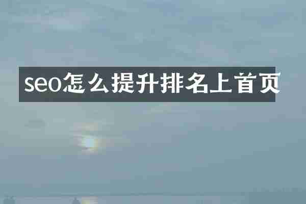 seo怎么提升排名上首页