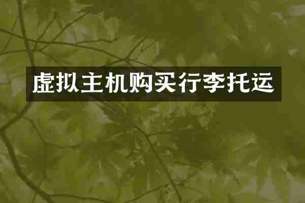 虚拟主机购买行李托运