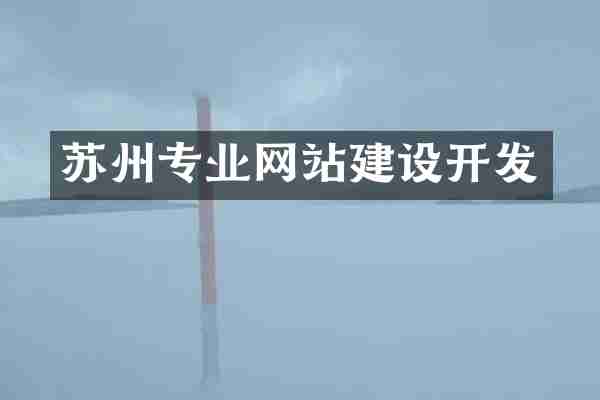 苏州专业网站建设开发