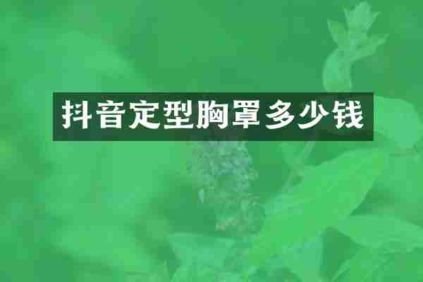 抖音定型胸罩多少钱