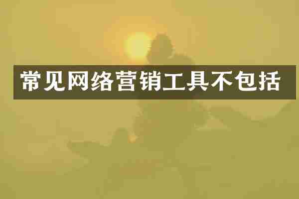 常见网络营销工具不包括