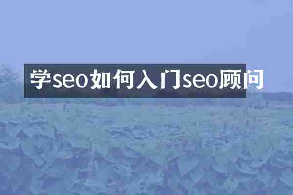 学seo如何入门seo顾问