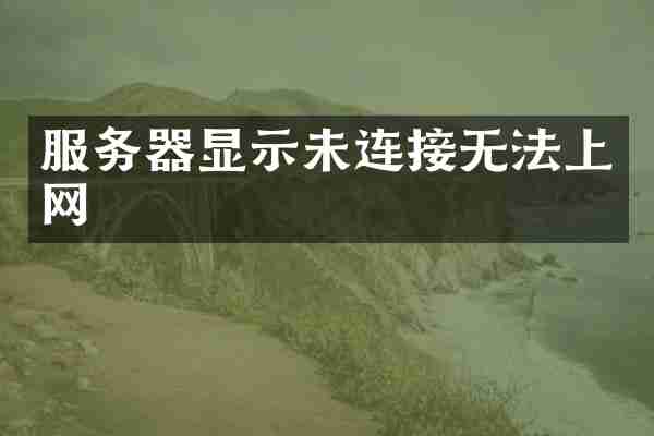 服务器显示未连接无法上网