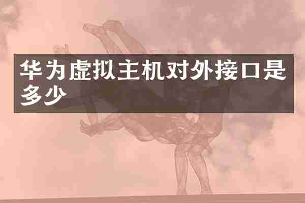 华为虚拟主机对外接口是多少